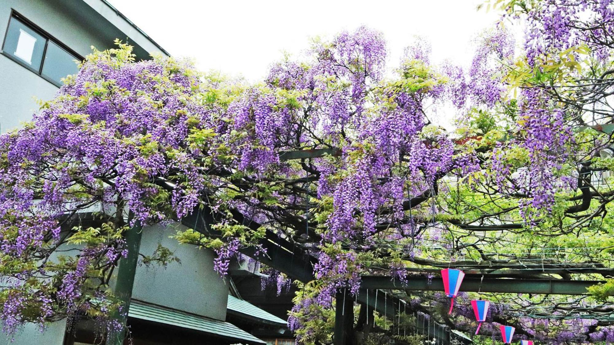 Toyoko Inn Chofu Keio Sen Fuda Eki Экстерьер фото